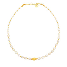 Load image into Gallery viewer, Aarin Statement Pearl &amp; Silver Necklace